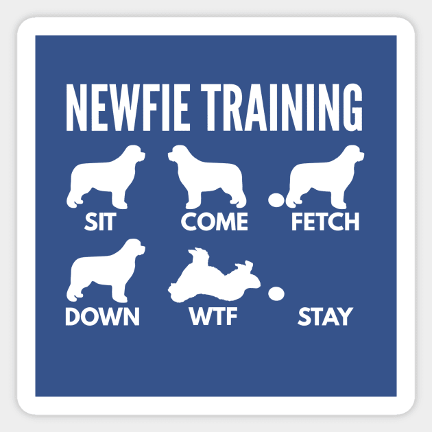 Newfoundland Training Newfie Dog Tricks Sticker by DoggyStyles